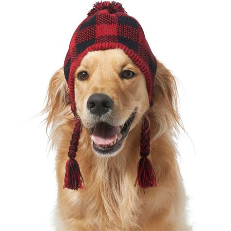 The Cutest Winter Dog Hats