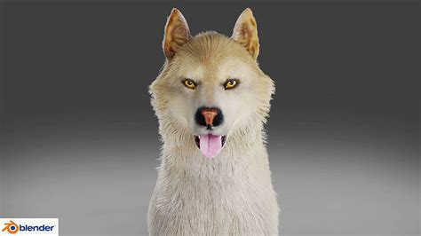 3D model Fur Gray Wolf V02 NO Rigged VR / AR / low-poly | CGTrader