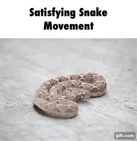 Satisfying Snake Movement - )