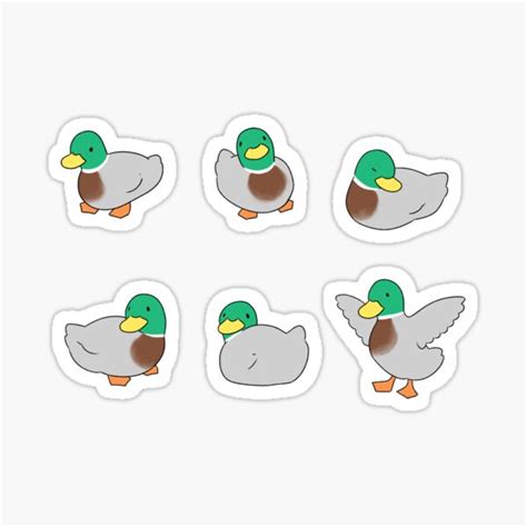 Duck Stickers | Redbubble