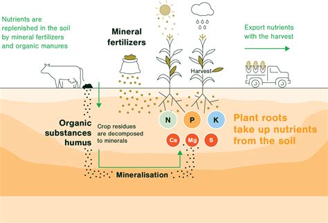 Balanced Plant Nutrition - Fertilizers Europe