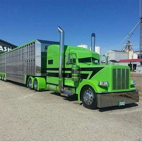 Semitrckn — Peterbilt custom 379 bull hauler