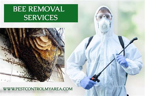 Bee Removal Services Affordable Price & Cost USA All Cities Zip