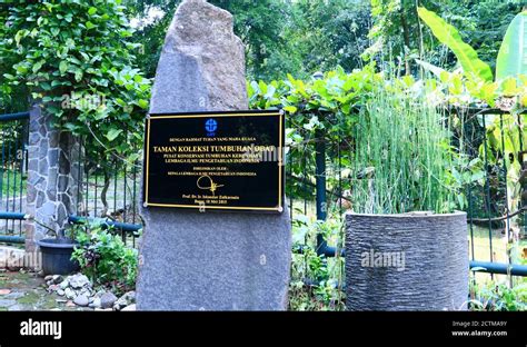 Bogor, Indonesia - October 20, 2019: Medicinal Plants Collections in ...