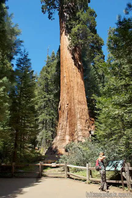 General Grant Tree Trail | Kings Canyon | Hikespeak.com