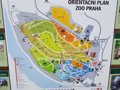 Map of the Zoo - obrázek zařízení Zoo Praha - Tripadvisor