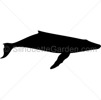 Humpback Whale Silhouette - Free Clip Art, Printable, and Vector Downloads