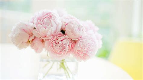 Light Pink Peonies Bouquet Wallpapers - Wallpaper Cave