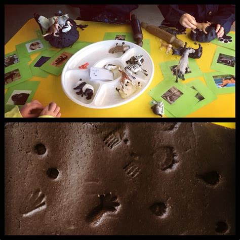 Animal Footprints 🐾 🐘in the play dough. We looked at shape, size, same, similar and different ...
