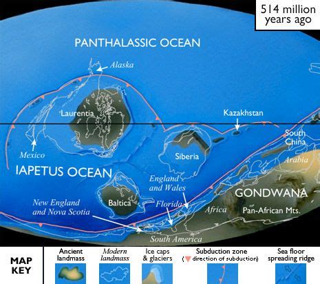 Map of Cambrian Earth: Pannotia Breakup & Iapetus Ocean Formation