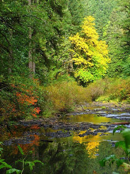 Silverton, Oregon - Wikipedia