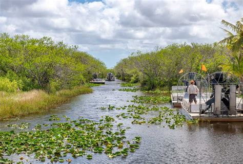 Your Ultimate 2 Day Everglades National Park Itinerary - Eternal Arrival