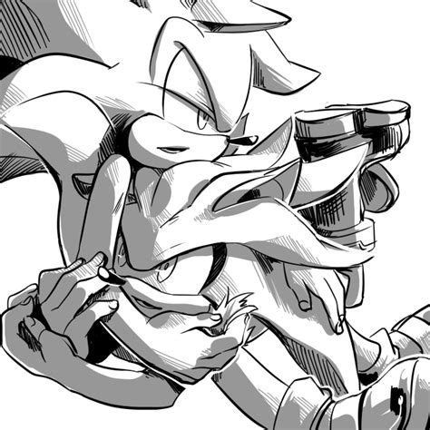 Sonic The Hedgehog, Silver The Hedgehog, Hedgehog Art, Shadow The ...