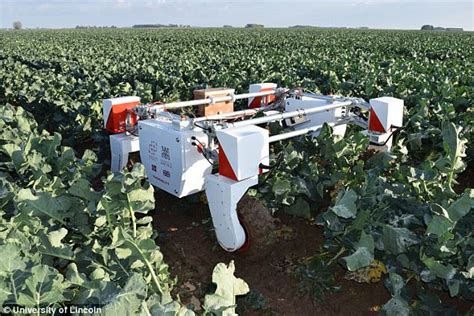 Mass produced farm robots could replace human workers | Daily Mail Online