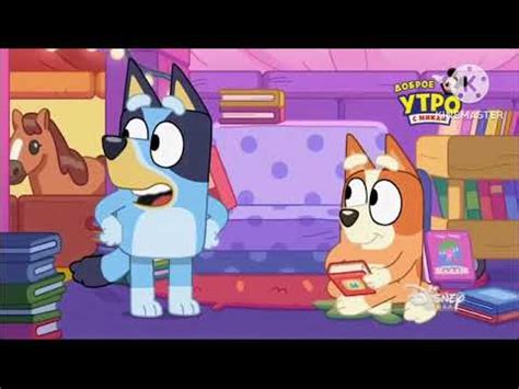 Bluey Cubby Review - YouTube