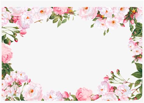 Flower Border Png Transparent Background