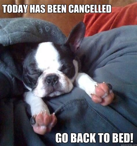 TODAY HAS BEEN CANCELLED GO BACK TO BED! - Cancellation by Punkinhead Allison - quickmeme