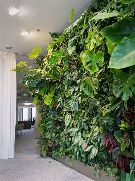 Indoor vertical garden ideas - RayaGarden