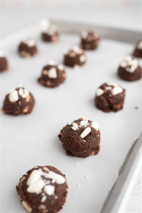 Double Chocolate Chip Cookies - Cookies for Days