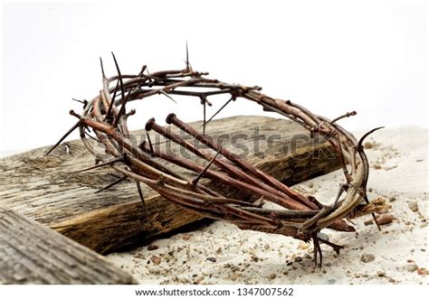 36,040 Crown Thorns Images, Stock Photos & Vectors | Shutterstock