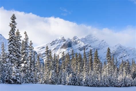 Pristine, a Canadian winter landscape at Bow Summit - NiO Photography