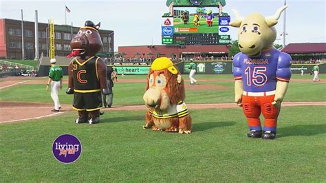 Dayton Dragons Entertainment | WDTN.com