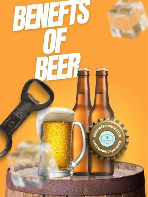 Benefits of Beer and Is beer good for your health? - Basic of Science