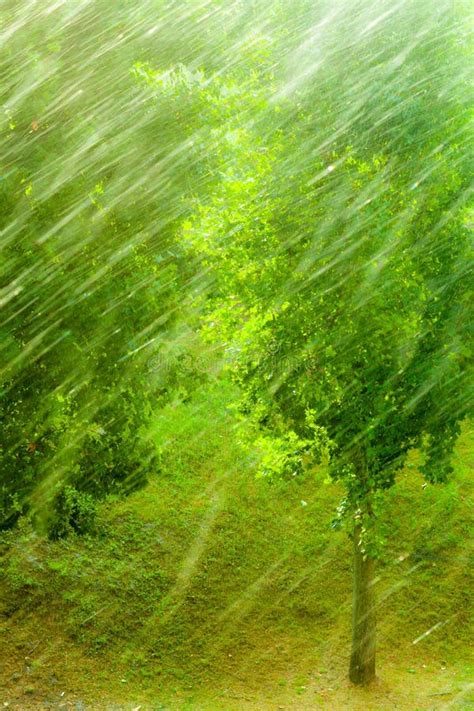 Rainy Outside Window Green Background Texture. Stock Photo - Image of summer, pane: 47446918