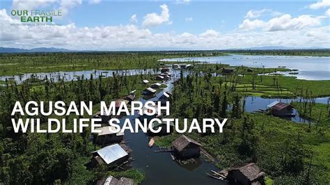 Our Fragile Earth S2E8 Agusan Marsh Wildlife Sanctuary & Mabini Protected Landscape and Seascape ...