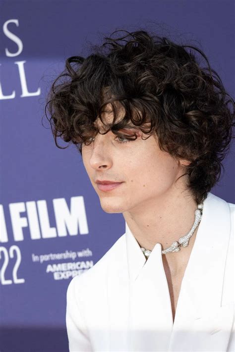 My Quest For Perfect Timothée Chalamet Hair | Long curly hair men ...