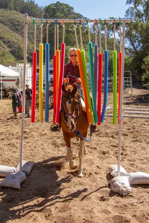 Car Wash Obstacle - SLO Horse News