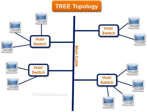 Tree Topology Png