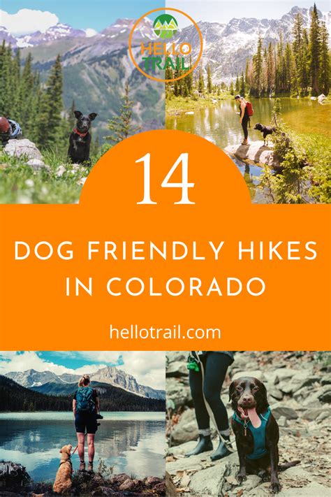 14 dog friendly hiking trails in colorado for your adventurous pup – Artofit