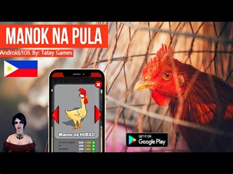 MANOK NA PULA [ANDROID/IOS] GAMEPLAY REVIEW PH By Tatay Games - YouTube