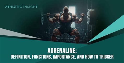 Adrenaline: Definition, Functions, Importance, and How to Trigger ...