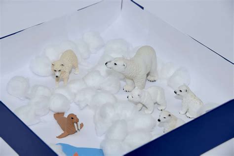 Polar Habitats for Kids - Shoebox Habitat