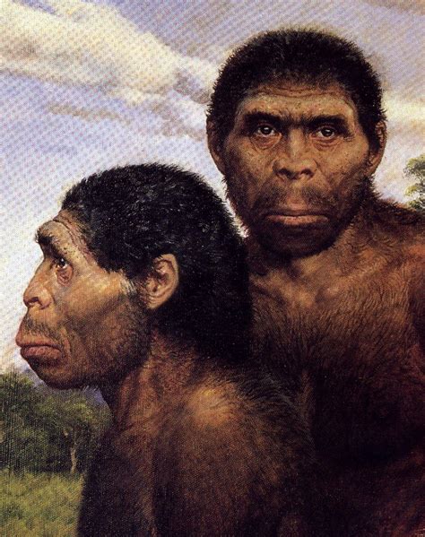 Human Evolution | Early humans history, Human evolution, Evolution