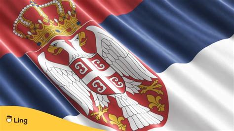 Serbian Flag: 3 Useful Facts You Need To Know - ling-app.com