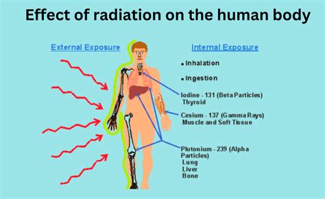 Residenza Oh caro Precisione radiation body Accidenti baseball In particolare