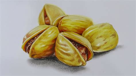 Art, Painting, Drawing, Tips and Tutorials: How to Draw Realistic Pistachio Nuts | Realistic ...