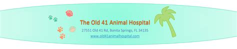 The Old 41 Animal Hospital - Blue Heron Consulting