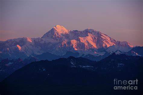 Denali Peak Sunrise Photograph by David Guenther - Pixels