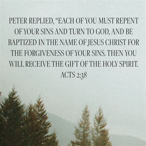 Acts 2:38 Peter replied, “Repent and be baptized, every one of you, in the name of Jesus Christ ...