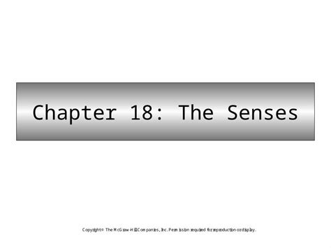 (PPT) Chapter 18: The Senses. Types of Sensory Receptors Chemoreceptors respond to chemical ...