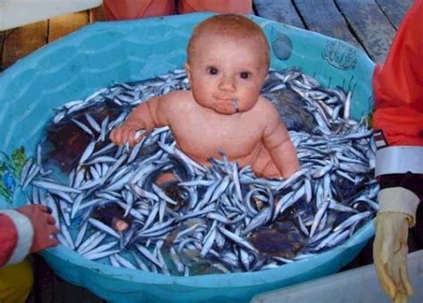 Baby Sardines