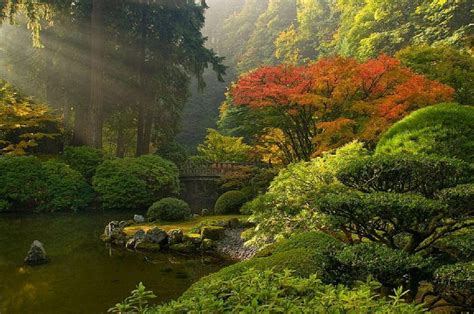 Japanese garden, garden, fall season, nature, japanese, HD wallpaper | Peakpx