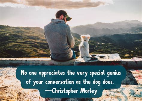 Dog Quotes: Wonderful Sayings About Man's Best Friend - PetHelpful