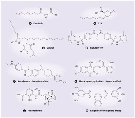 Fatty acid synthase inhibitors (A) Cerulenin. (B) C75. (C) Orlistat.... | Download Scientific ...