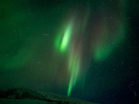 Fairbanks Aurora Borealis Tour - Fairbanks | Project Expedition