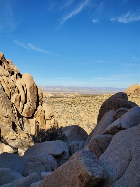 Joshua Tree National Park Twentynine Palms California [4608x3456] (OC ...